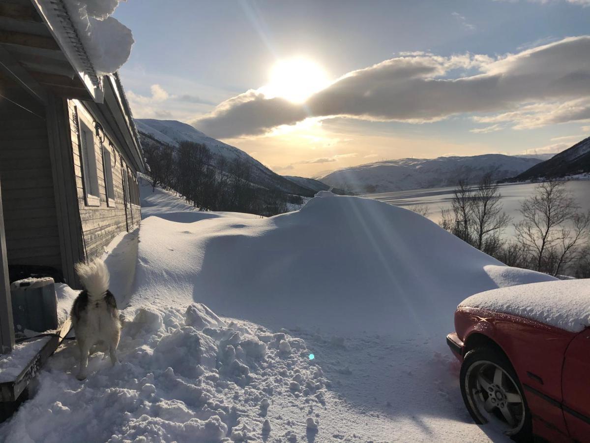 Melishome: Aurora Observatory Tromsø Eksteriør bilde