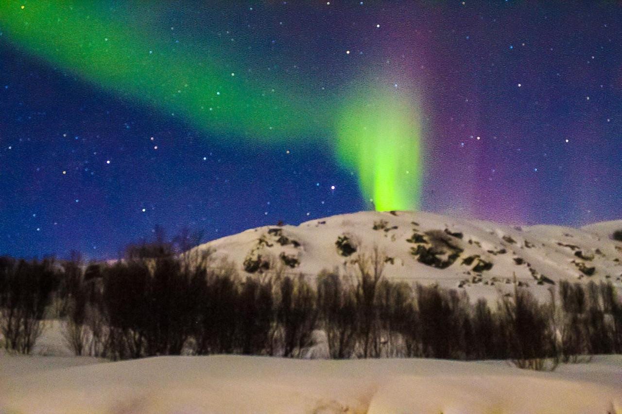 Melishome: Aurora Observatory Tromsø Eksteriør bilde